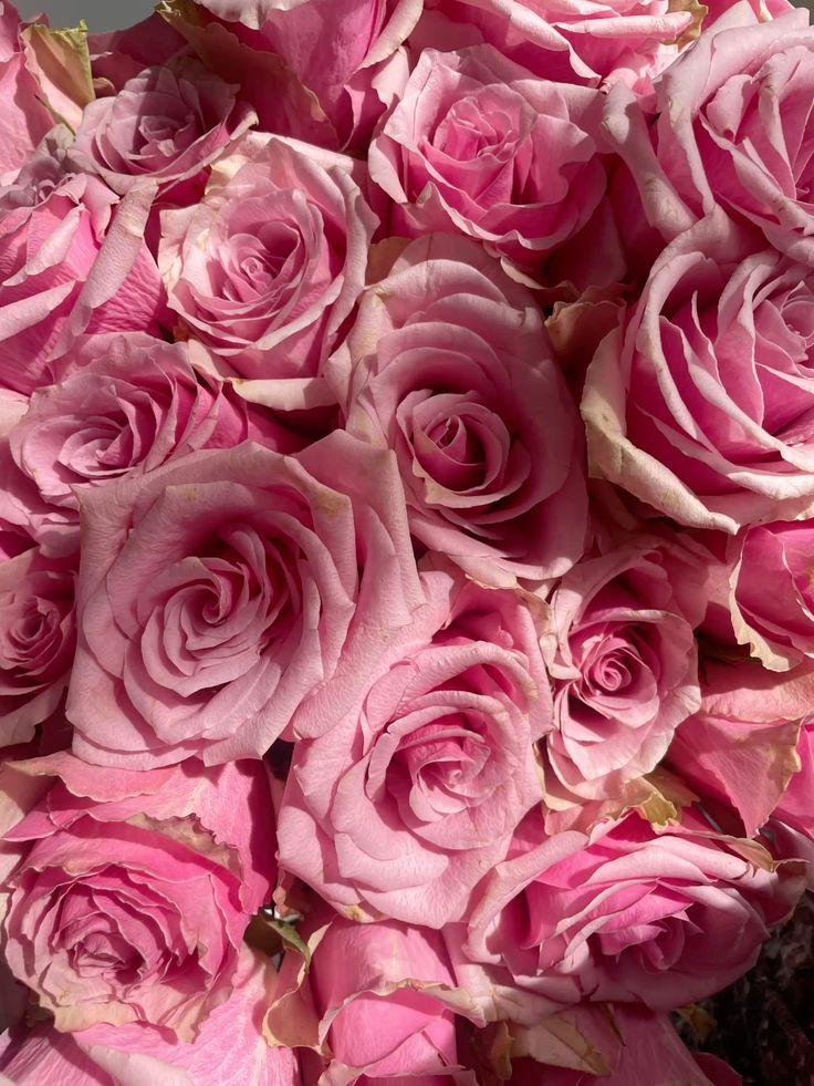 Grove Harbor Panel workshop space where corporate flower arrangements are designed and prepared for business delivery